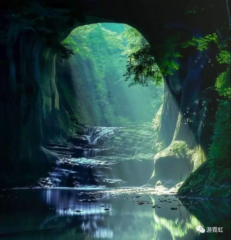 救援小巨鳄