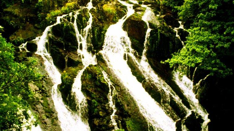 西安“硬核”寺庙,拒绝改造和商业化,仍供奉着唐玄奘遗骨